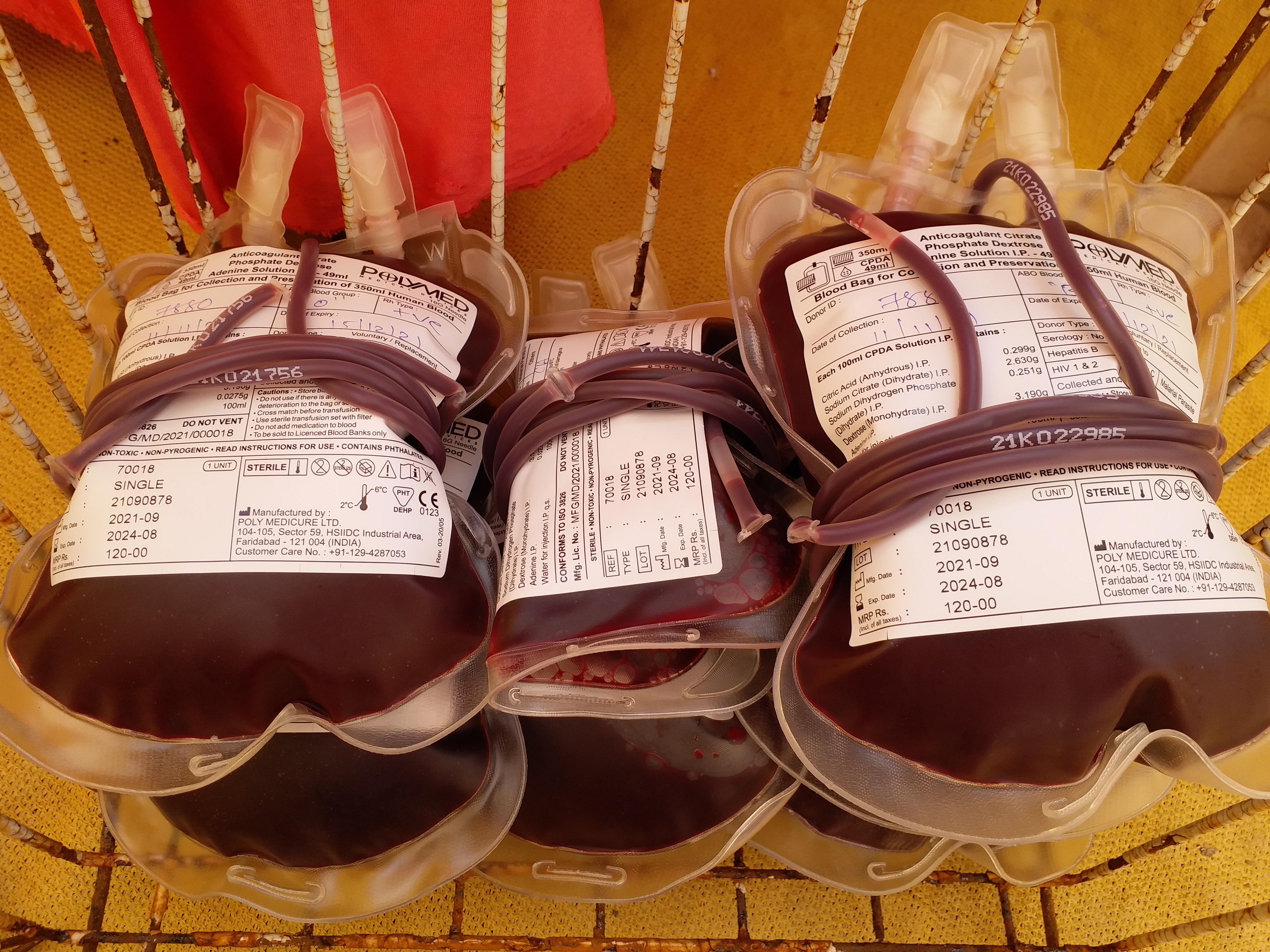 Thalassemia Day 2022: એકવાર કરી જુઓ તમારું દાન બે વ્યક્તિનું જીવન બચાવી શકશે