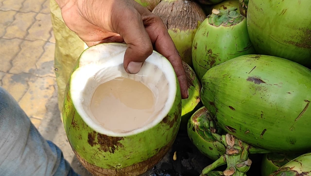 લીલા નાળિયેરના ભાવમાં સતત વધારો