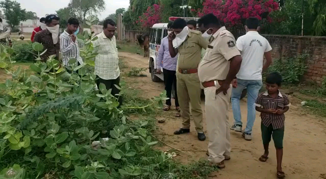 કડી દેત્રોજ રોડ પર જાડી ઝાંખરામાંથી ત્યજી દીધેલ નવજાત બાળકીનો મૃતદેહ મળ્યો