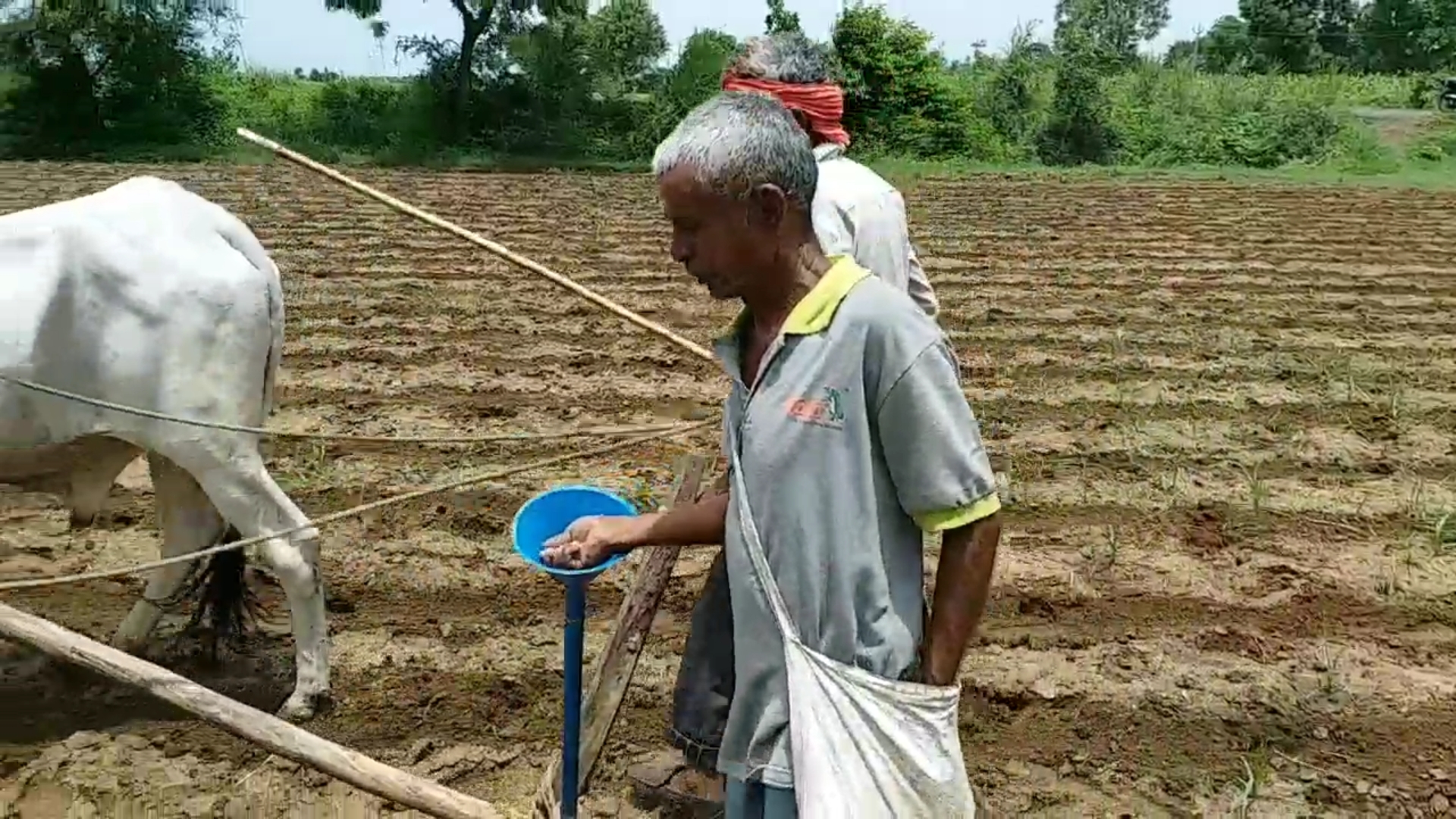 ચોમાસુ પાકોને નુકસાન થવાની ભિંતી