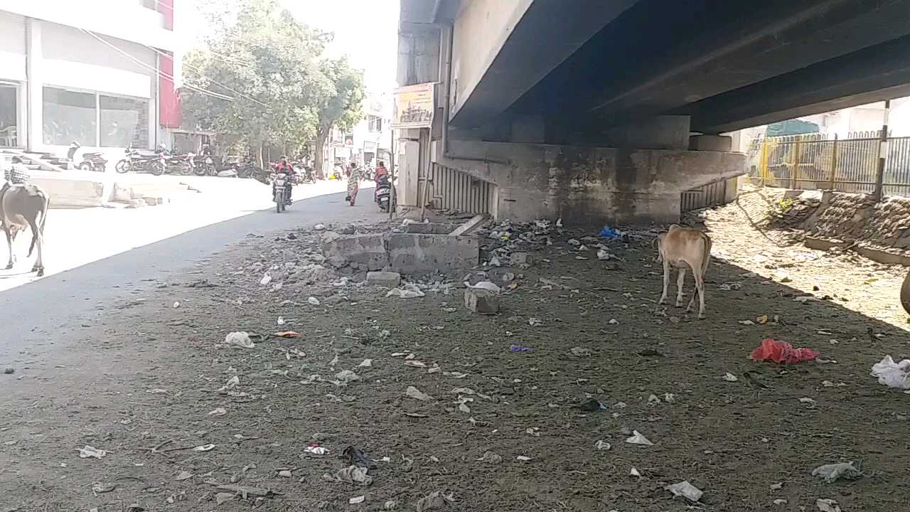 પુલ નીચે બાગ બગીચાઓ બનાવવા માગ