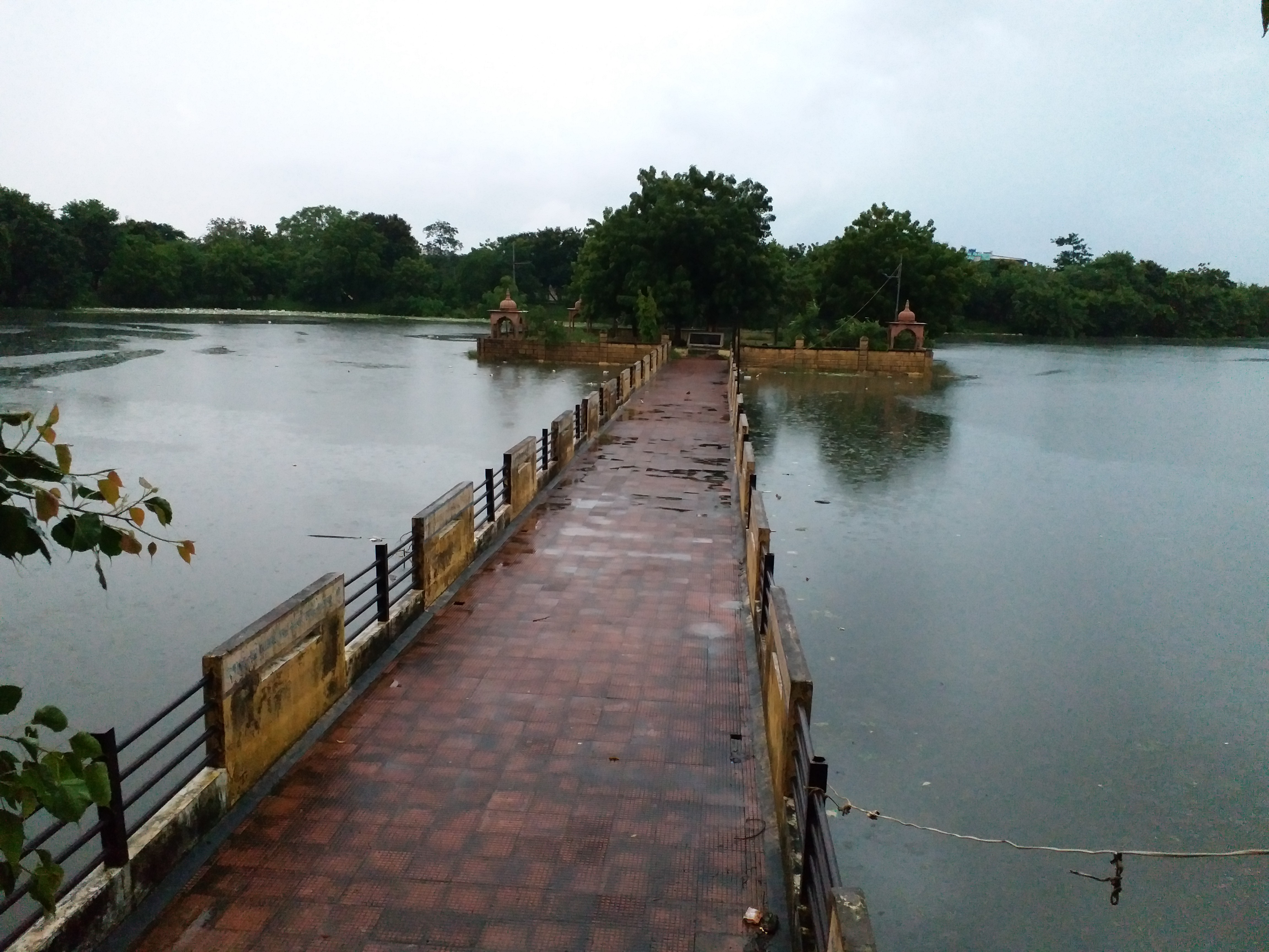 heavy rains in gujarat in 2020