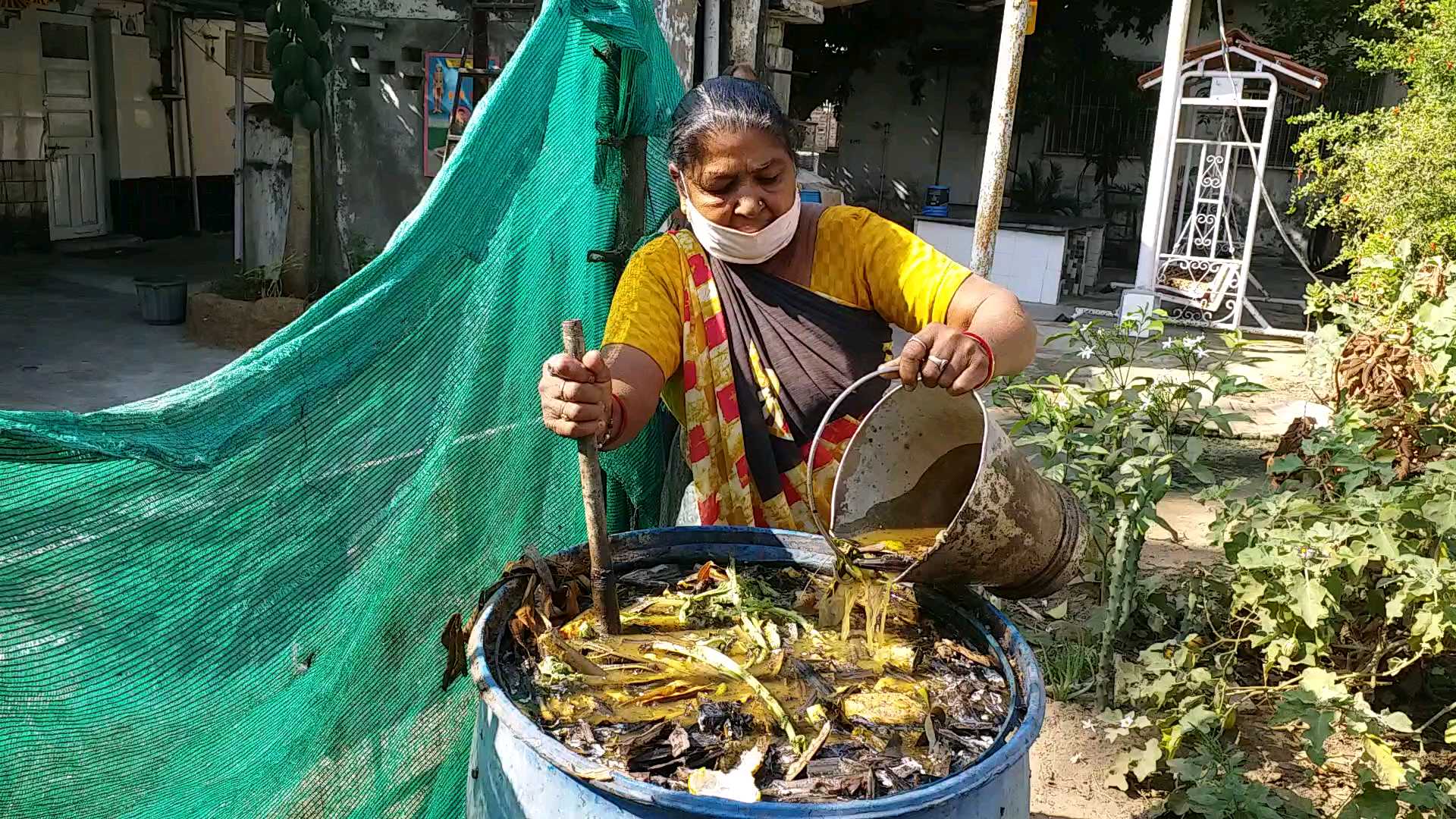 અનાવાડા ગામના વયોવૃદ્ધ ખેડૂતે ઓર્ગેનિક ખેતી દ્વારા ઓછા ખર્ચે વધુ ઉત્પાદન મેળવ્યું