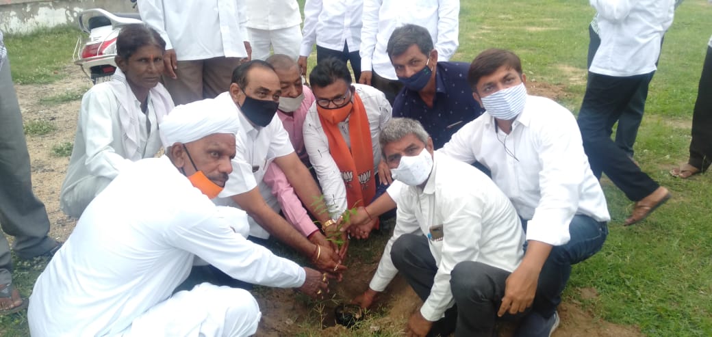 ગુજરાત પ્રદેશ અધ્યક્ષ સી. આર. પાટીલના કાર્યકાળનું એક વર્ષ પૂર્ણ થતા પાટણમાં વૃક્ષારોપણ