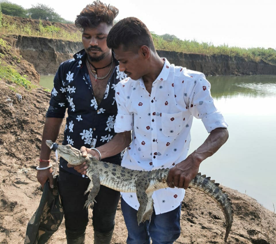 વાઈલ્ડલાઈફ રેસ્ક્યુ ટ્રસ્ટ