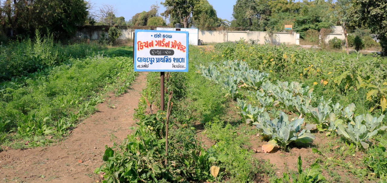 a teacher Planting vegetables himself and serving nutritious food at mid meal