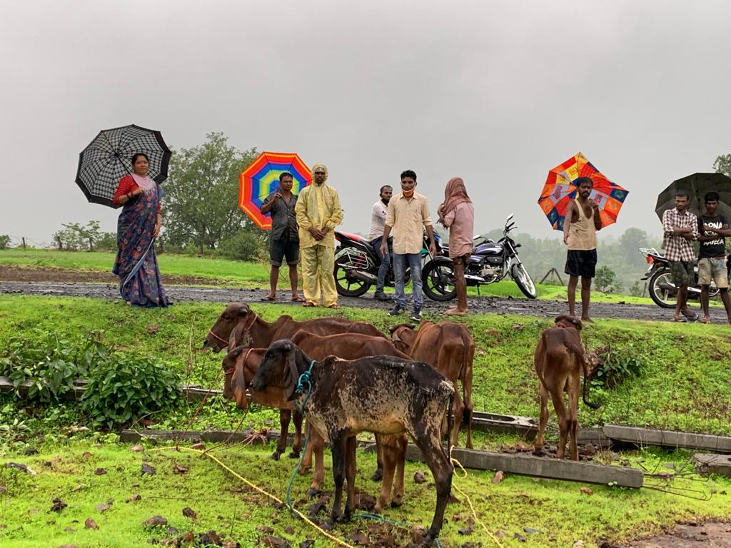 વલસાડના ચાવશાળા ગામે ગૌદાન કાર્યક્રમ સંપન્ન થયો