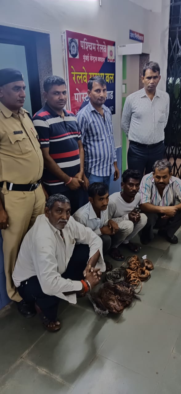 two copper cabel thief arrested  by rpf in valsad down yard