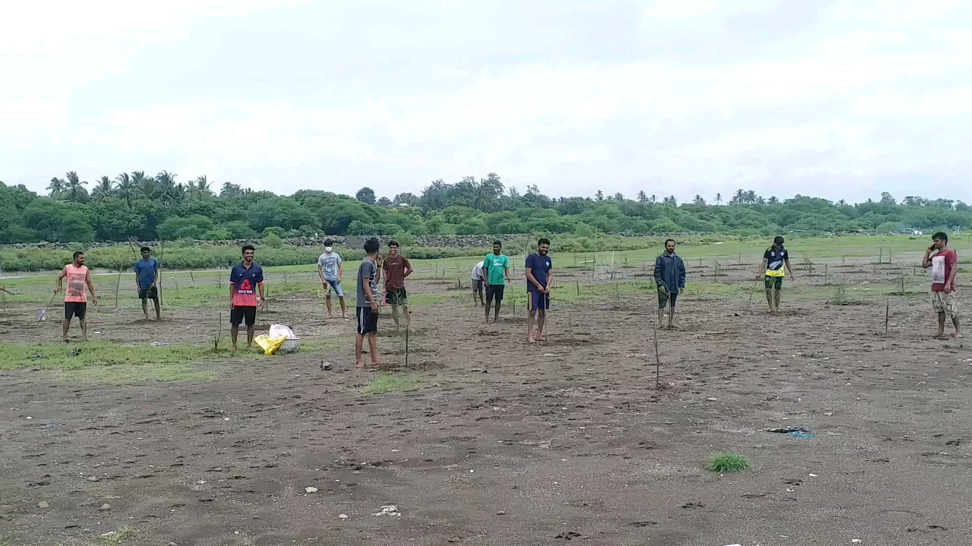 પારડી ઉમરસાડીના યુવાનો દ્વારા દરિયાઈ ધોવાણથી રક્ષણ મેળવવા કરાયું વૃક્ષારોપણ