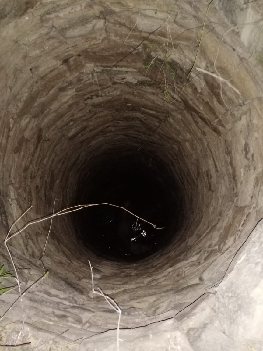 Rescued a camel in a 40 feet deep well in Bhuj