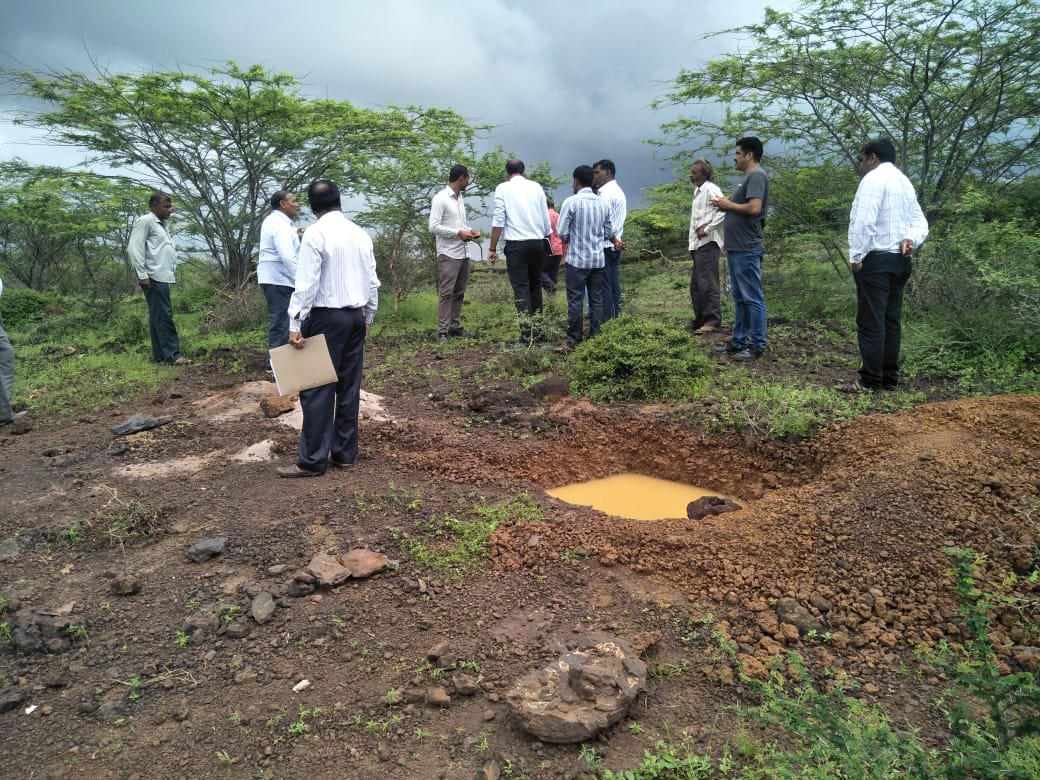 company cut down several trees In Kutch