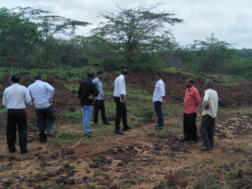 company cut down several trees In Kutch