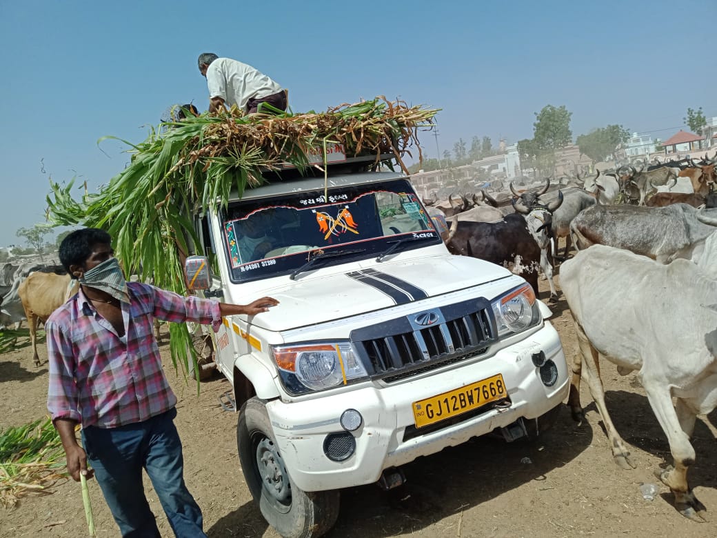 RSS અને સાજિક સંસ્થા દ્વારા કચ્છભરમાં લોકોને જરૂરી મદદ પહોંચાડાઈ