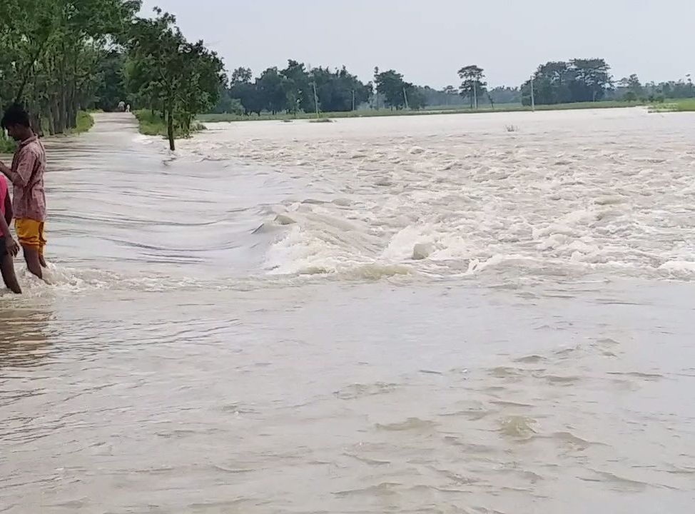 flood situation in bihar