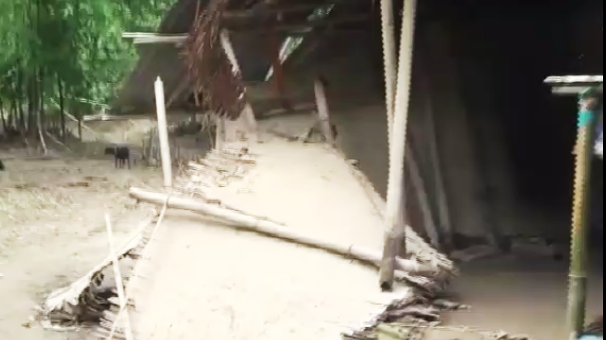 Elephant destroyed house in Hojai