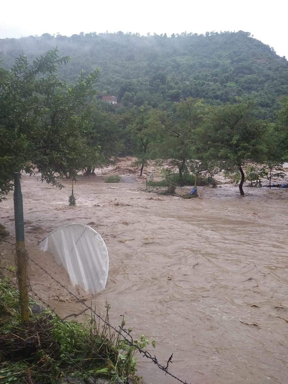 chamba, heavy Loss due to rain in Chamba, चंबा, भयंकर बारिश, फिन्ना प्रोजेक्ट, तेज बारिश, परछोड़ सीनियर सेकेंडरी स्कूल, 15 भेड़ बकरियां मलबे में दबी, ईटीवी भारत