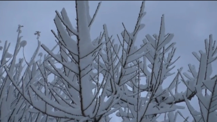 Heavy snowfall in mountainous areas in Chamba