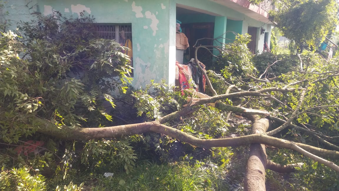 heavy storm in mandi