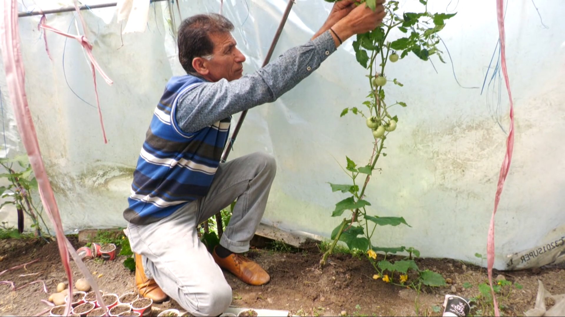 Parvinder Singh farmer of Hamirpur