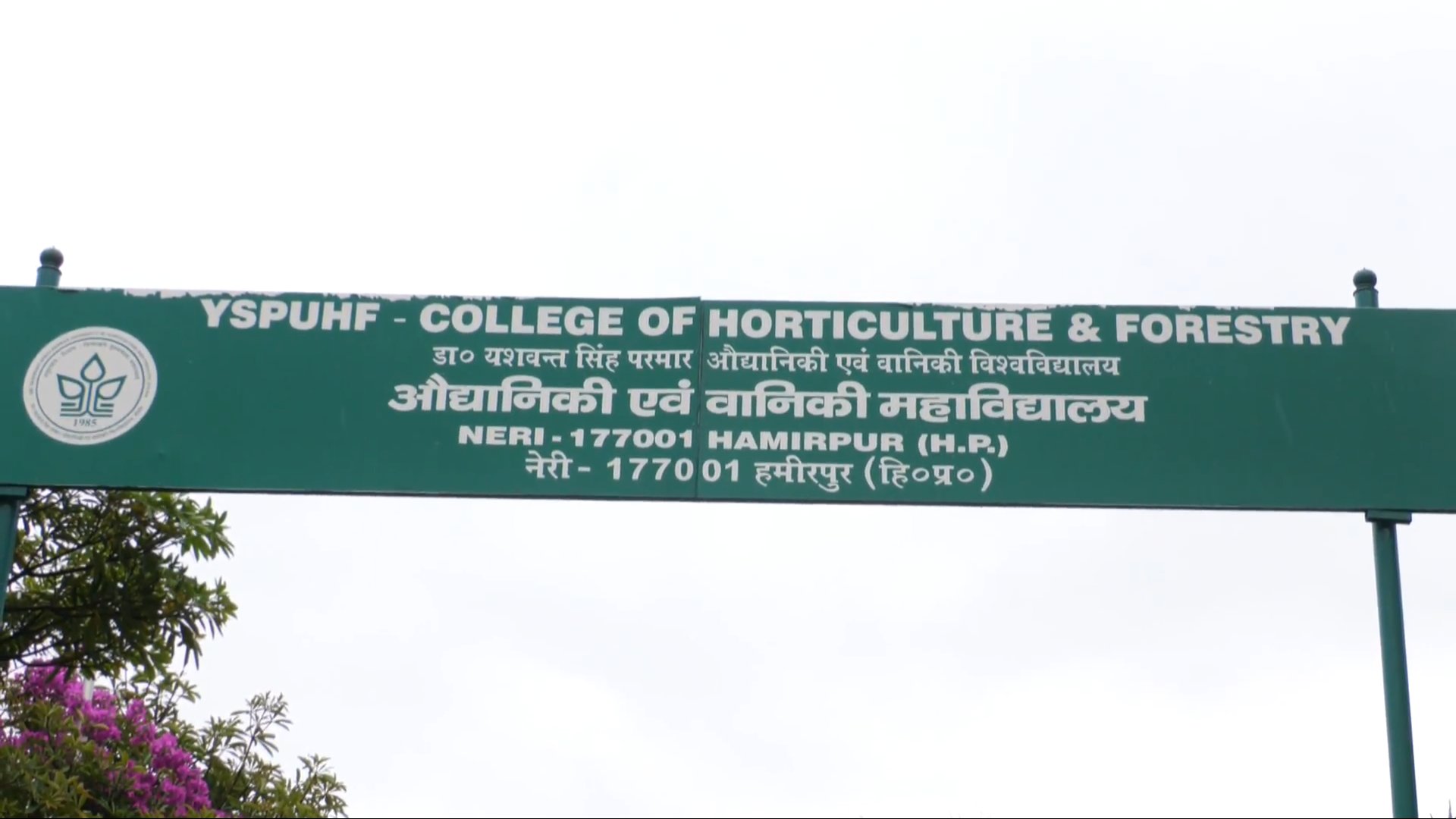 Horticulture And Forestry College Neri