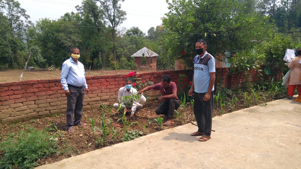 Gram Sudhar Sbha  Kohata celebrated Environment Day