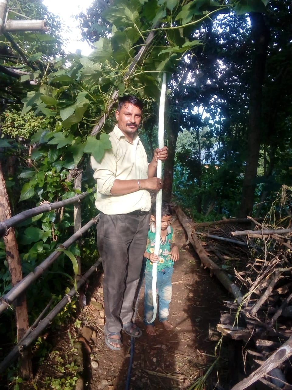 Organic farming done by people in Kakkar Panchayat of Bhoranj