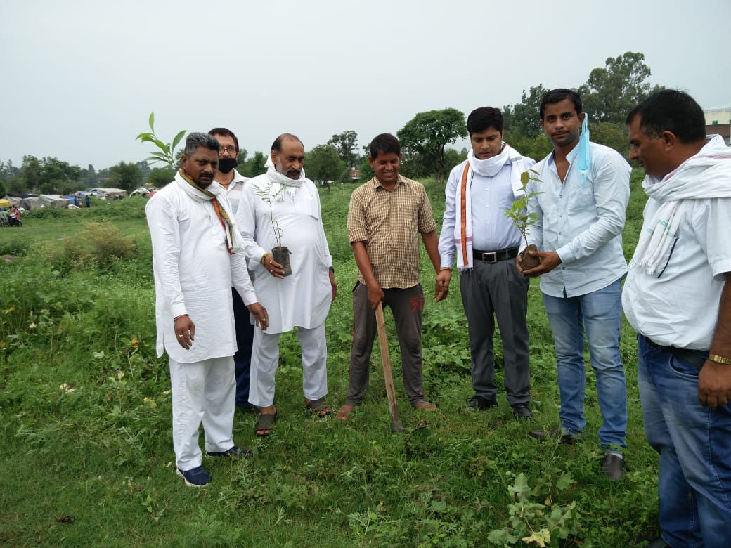 Bhoranj Block Congress planted saplings