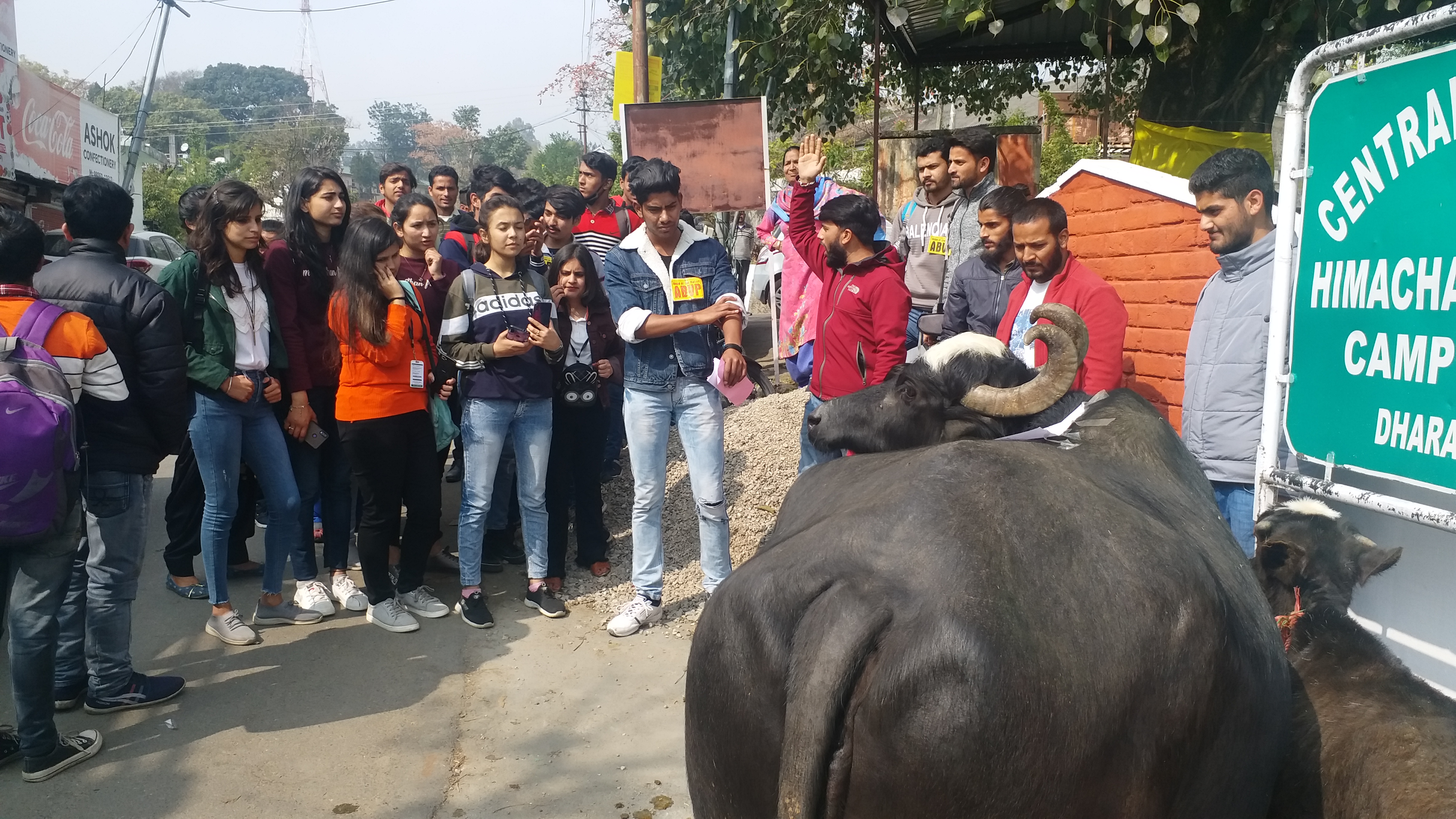 abvp protest in central university dharamshala