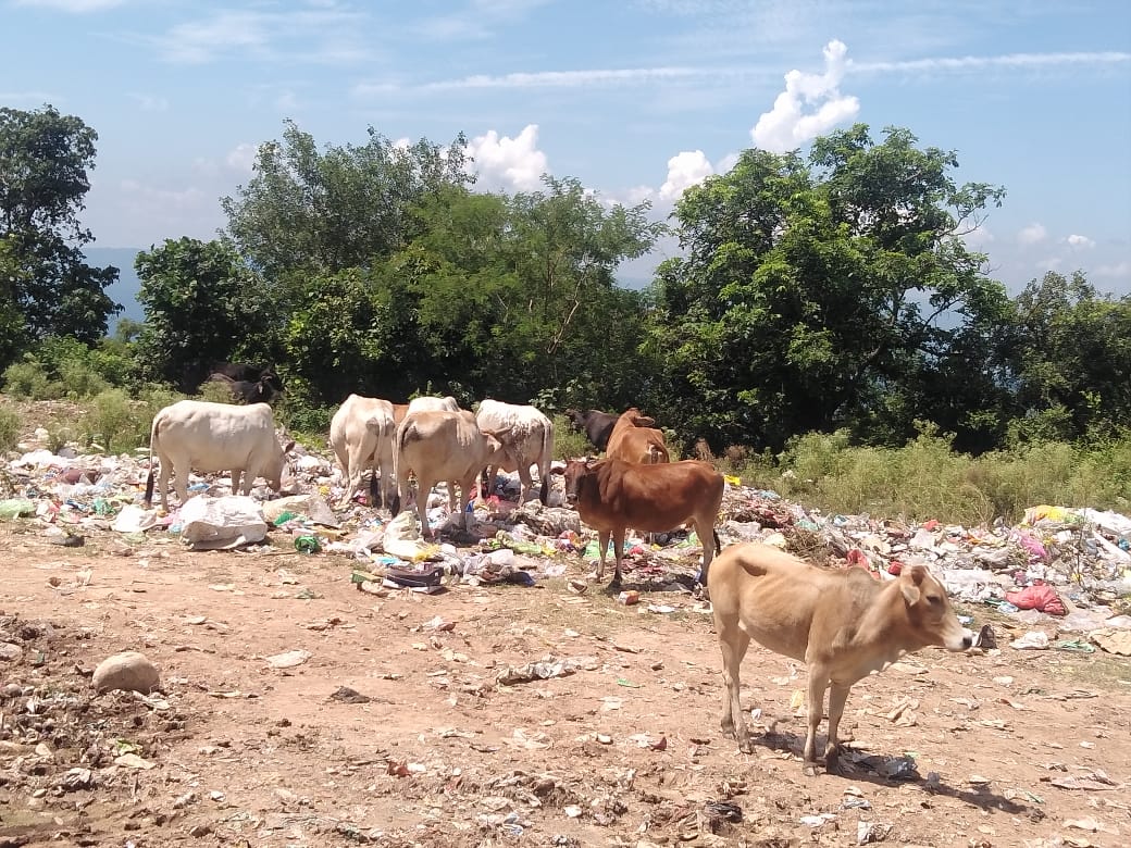 garbage problem in kangra