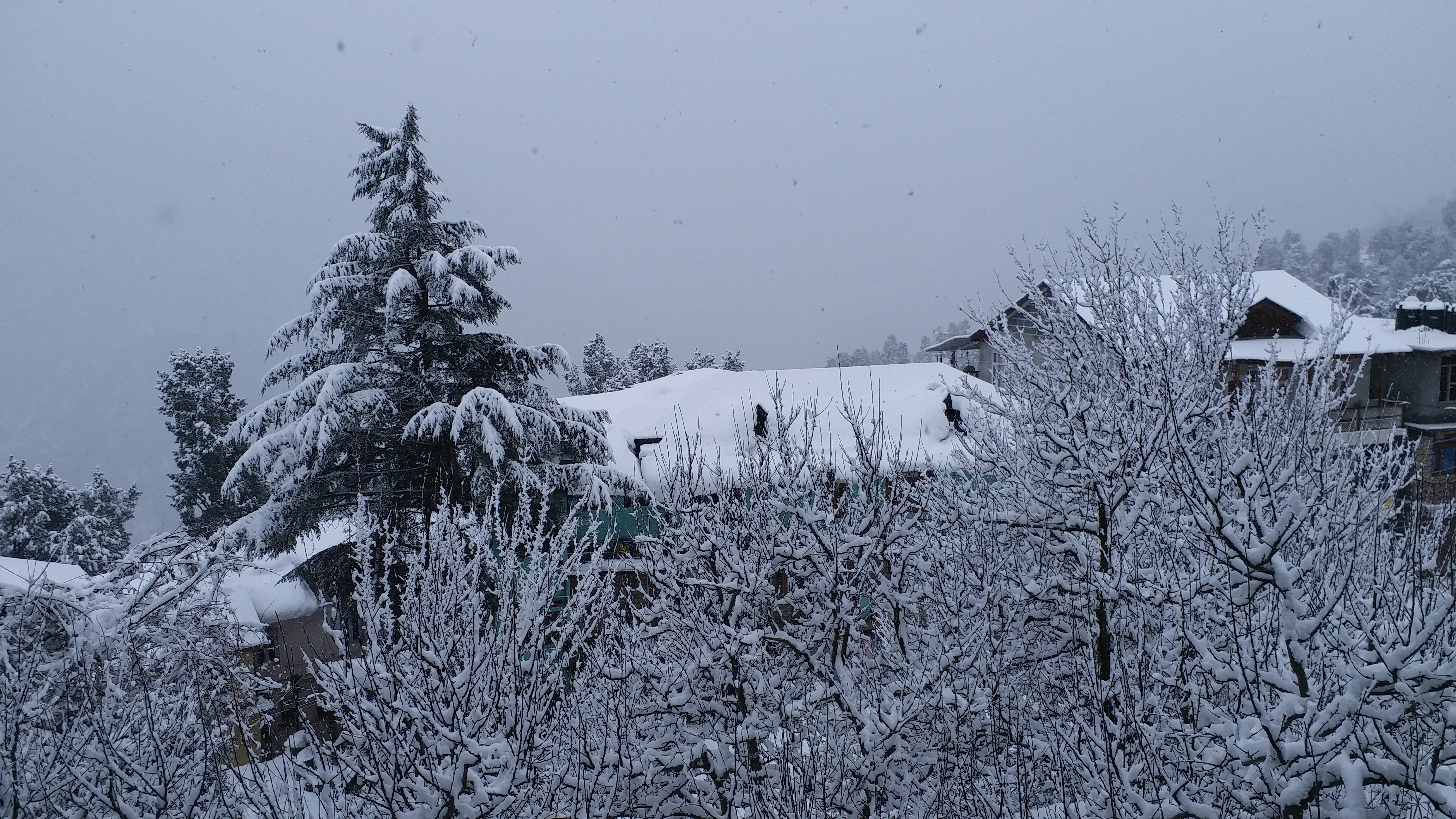 snowfall in kinnaur