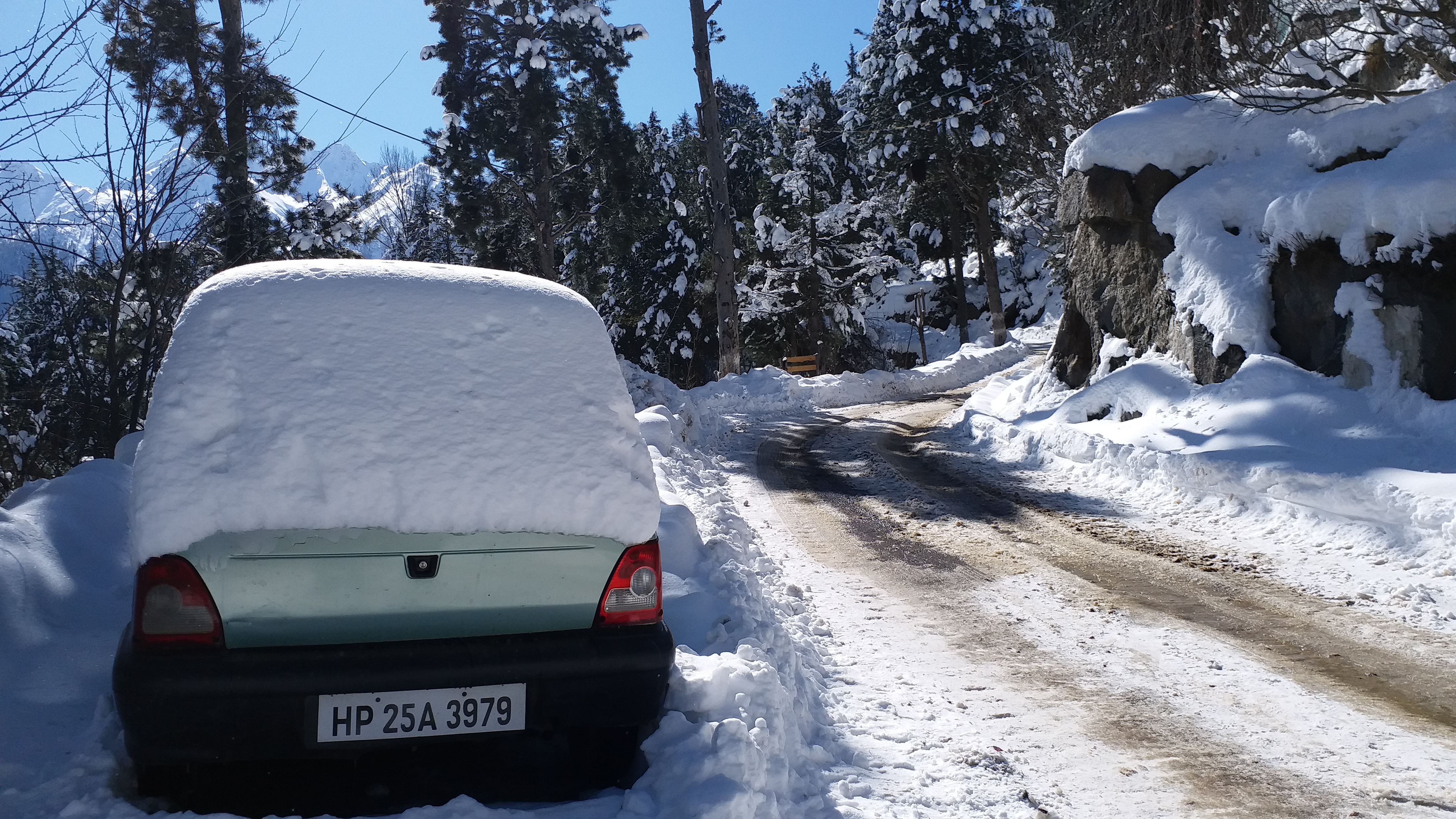 weather in kinnaur