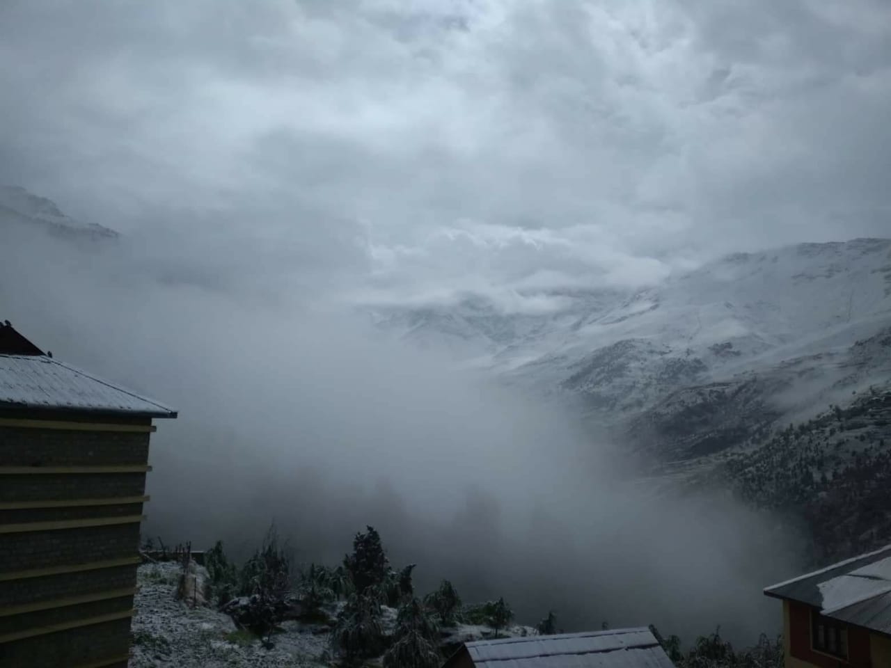 lahaul spiti fresh snowfall