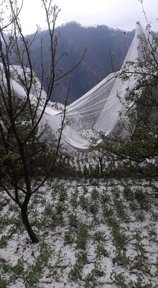 Heavy snow and rainfall in Manali, मनाली में भारी बर्फबारी और बारिश