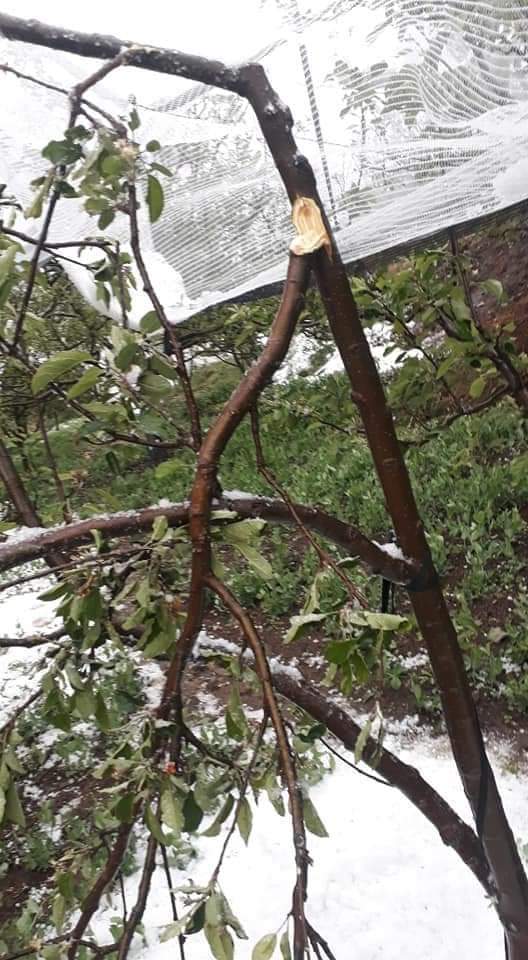 Heavy snow and rainfall in Manali, मनाली में भारी बर्फबारी और बारिश