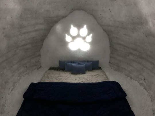 igloo in kullu manali himachal pradesh