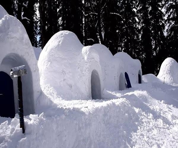 igloo in kullu manali himachal pradesh