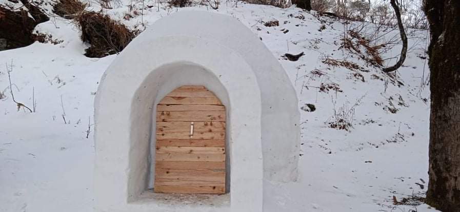 igloo in kullu manali himachal pradesh