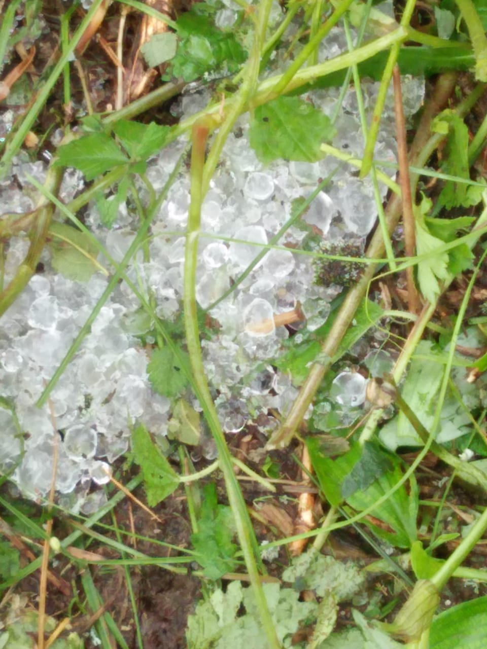 haistorm in kullu