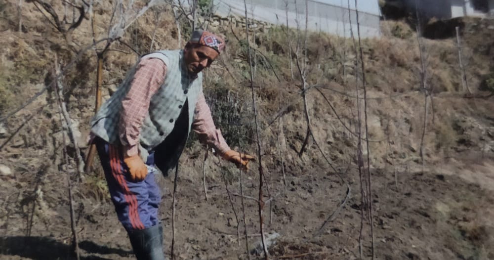 Natural Farming In Himachal