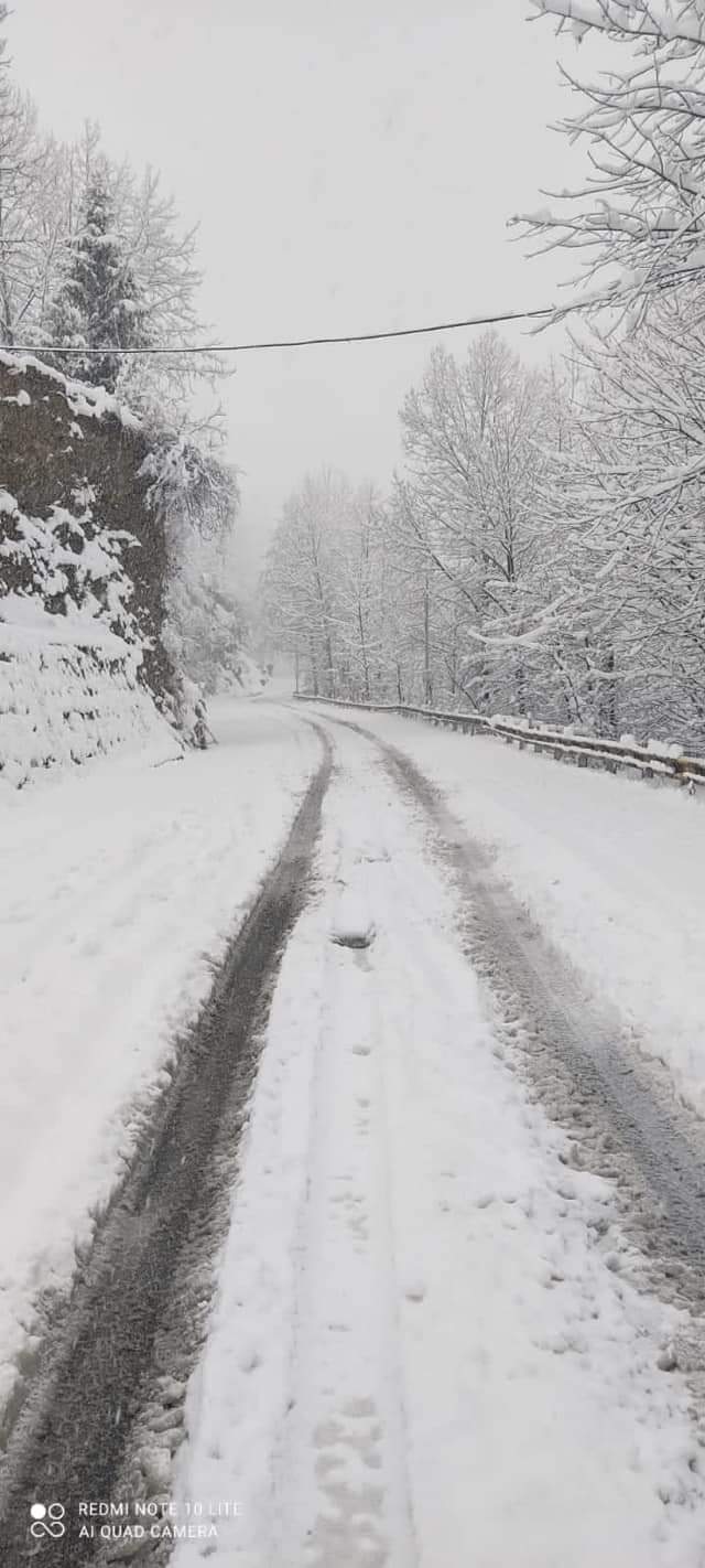 Snowfall in Lahaul Spiti