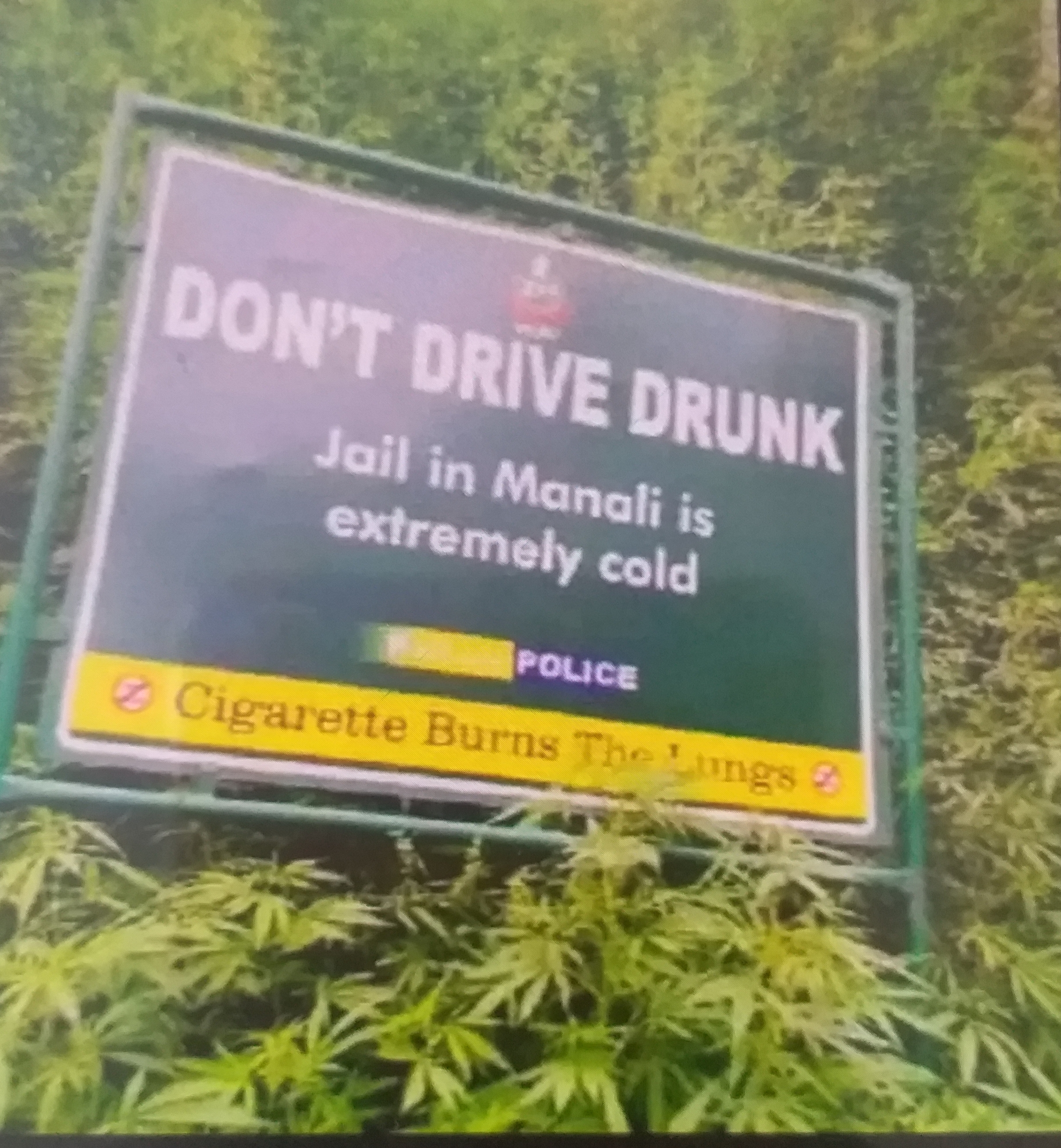 Kullu police viral warning