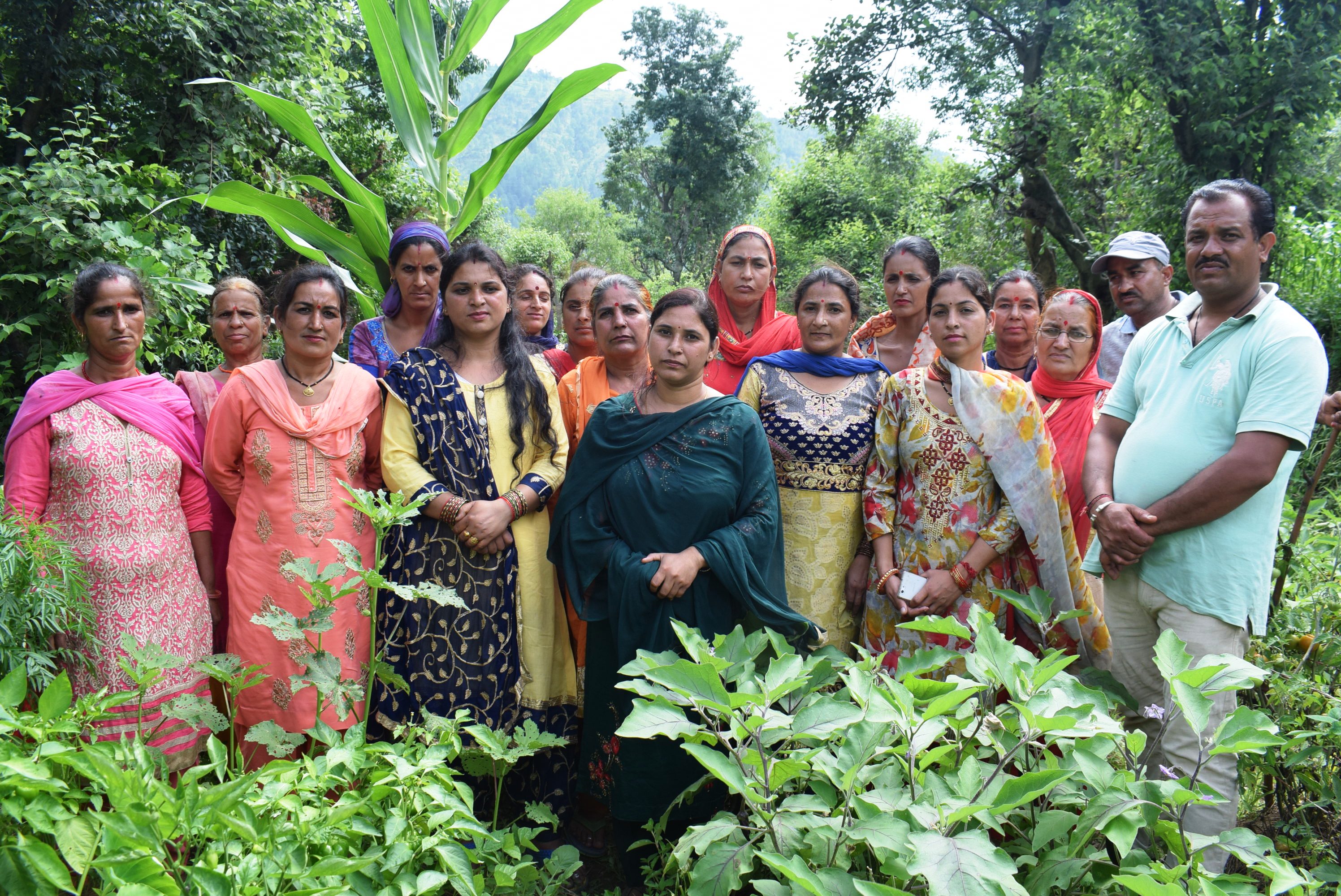 natural farming