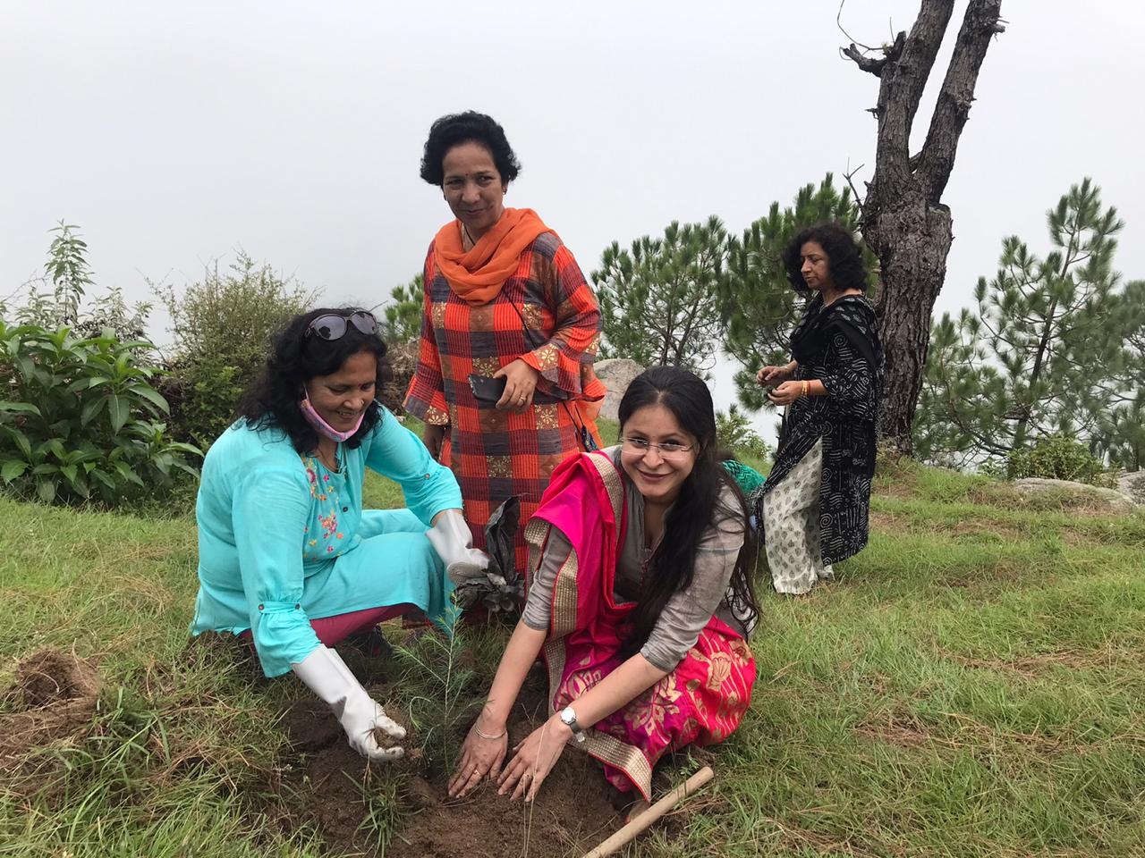 Rotary Club Mandi, रोटरी क्लब मंडी