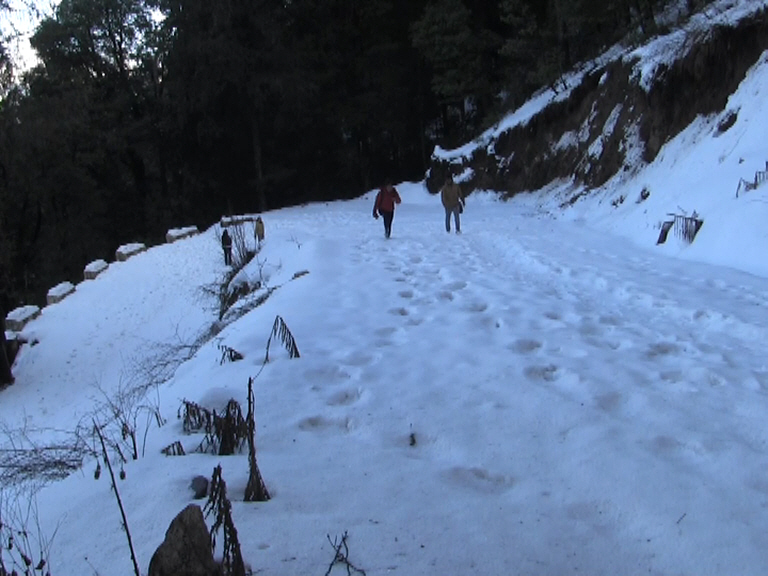 tourist enjoying snow in parashar mandi