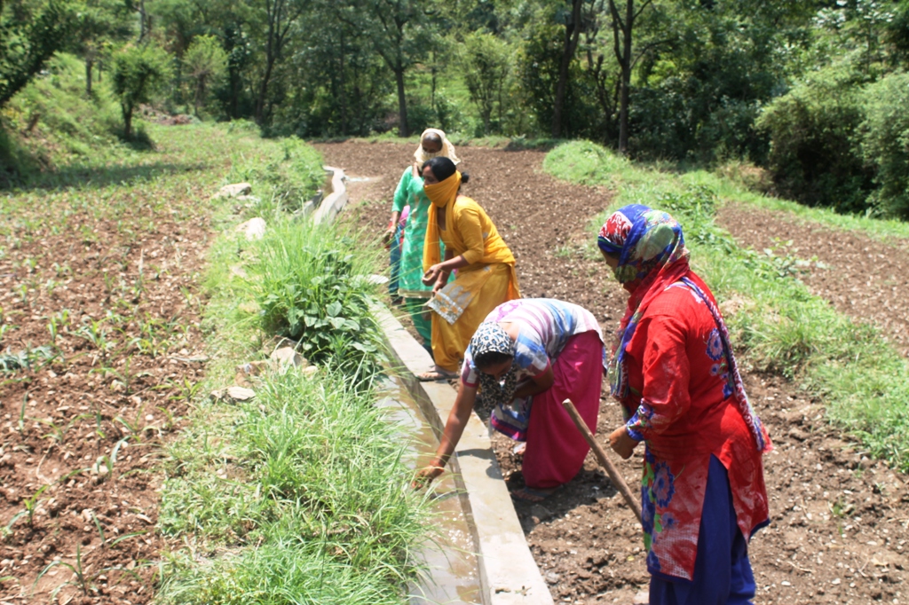 1 lakh 16 thousand 254 people get Employment under MNREGA