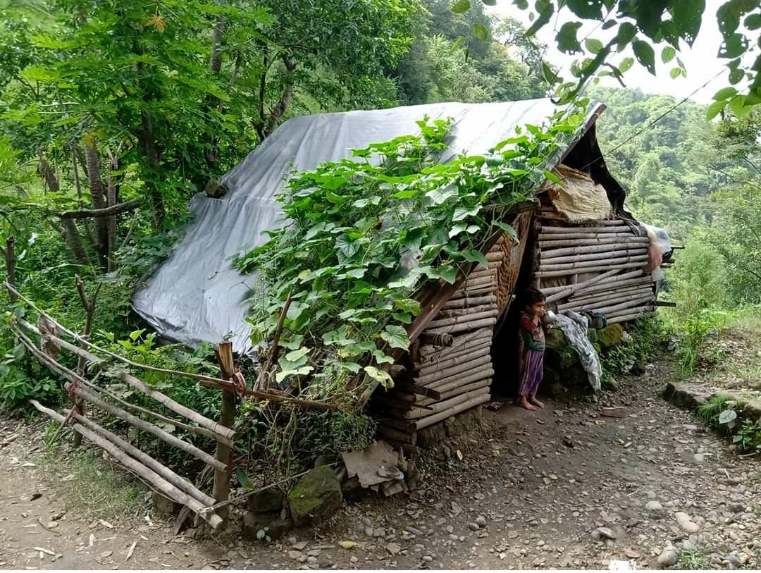 shelter in the forest in Mandi