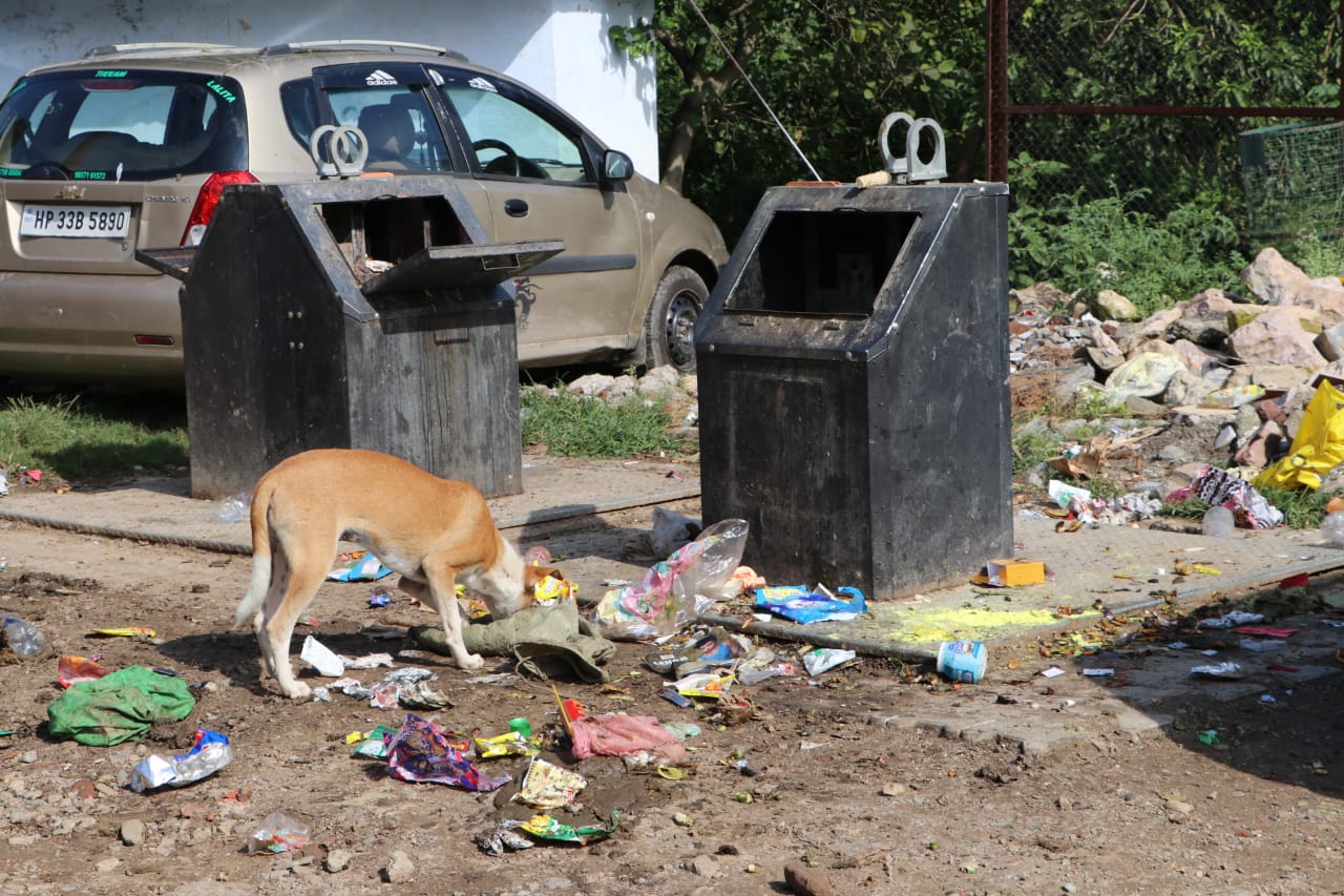 Stacks of filth in BBMB Colony