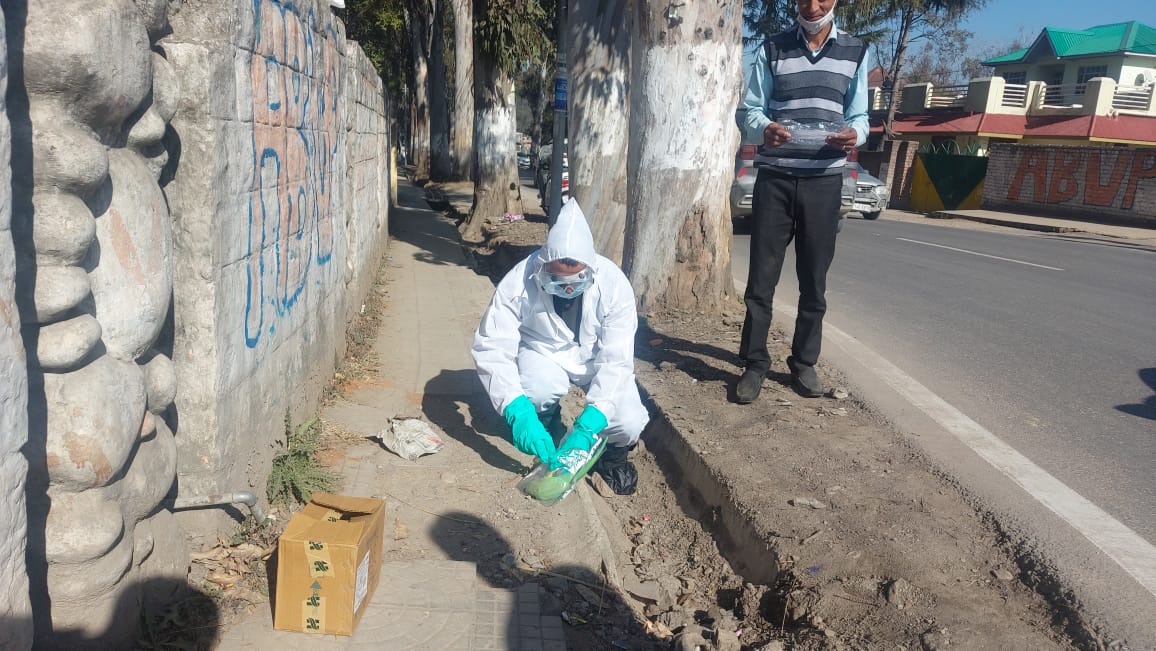 Dead parrot found in Sundernagar