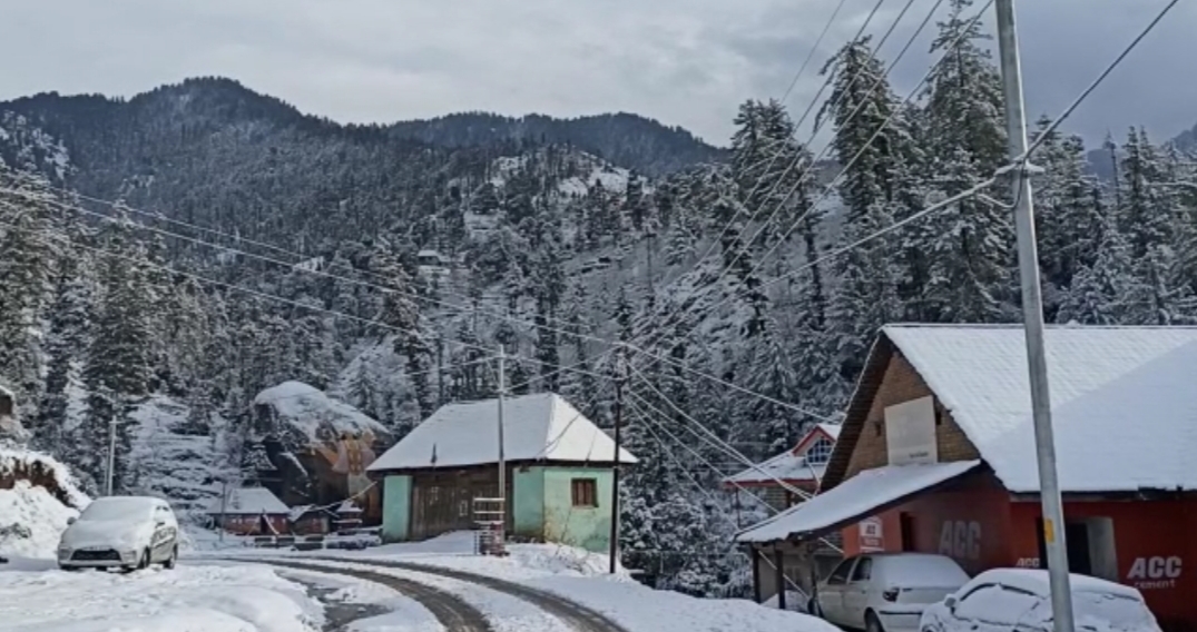 gardeners happy with fresh snowfall in mandi