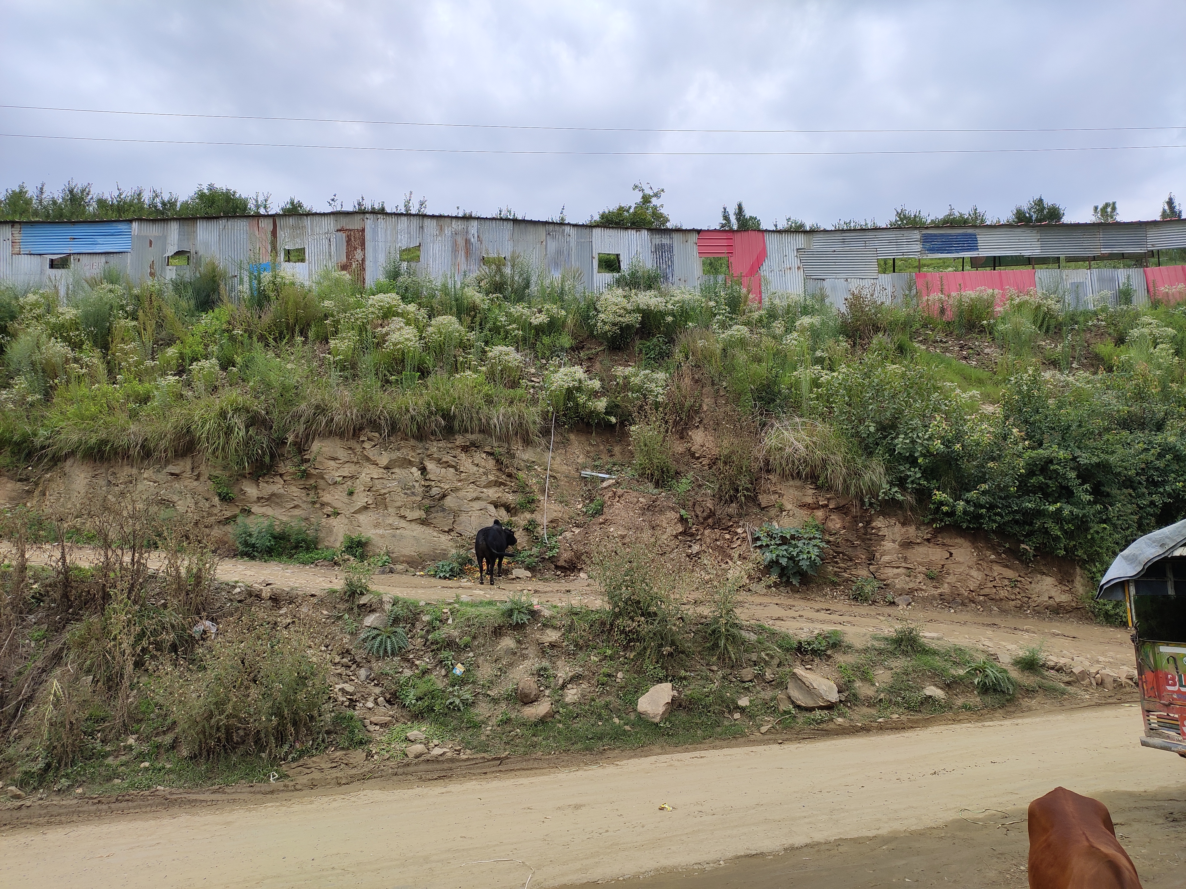 bad condition of vegetable market in karsog